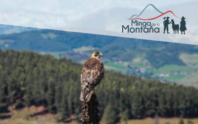 Lanzamiento Comunidad de Práctica Minga de la Montaña