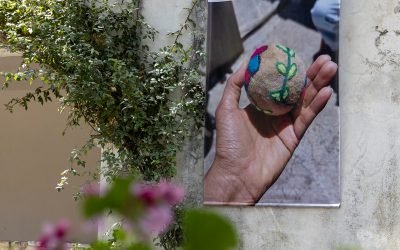 Minga Local: Latacunga Siembra Vida